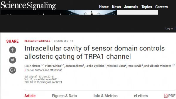 Sci Signal：TRPA1 离子通道的<font color="red">变构</font>门控机制