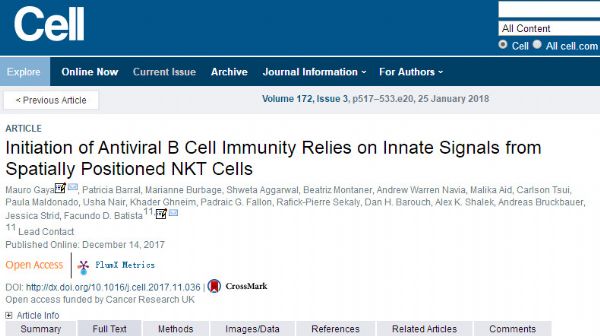 Cell：天然杀手T细胞在启动B细胞<font color="red">抗病毒</font>免疫<font color="red">反应</font>中的作用