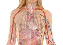 BMJ：上腹部手术后物理治疗可降低肺并发症风险