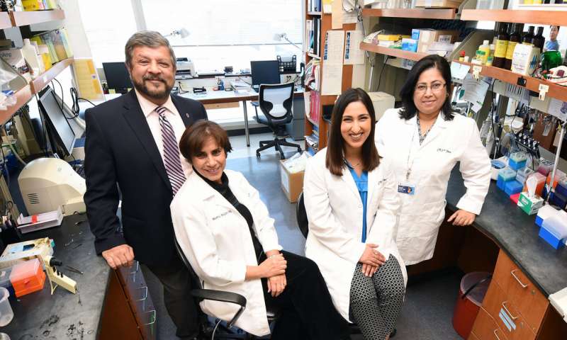 Oncotarget：小分子在减少“癌症传播”方面起着重要作用