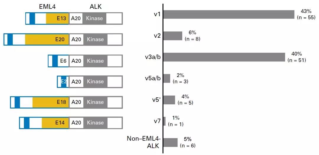 JCO：EML4-ALK变体亚型是否影响ALK阳性患者的疗效和结局？
