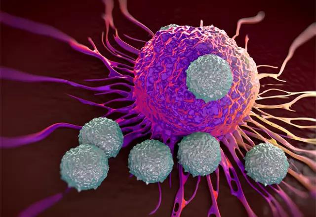 NSABP B-47证实HER2低表达乳腺癌未从曲妥珠单抗辅助治疗获益