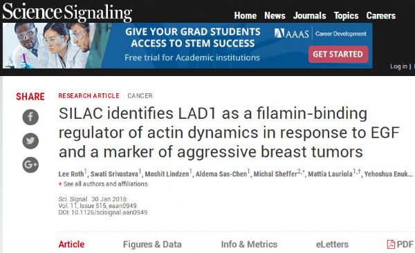 Sci Signal：侵略性乳腺癌的新生物标记物