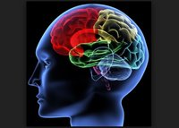Lancet  Neurol:HERMES工作组答疑：<font color="red">血管</font>内血栓切除术<font color="red">中</font>尽量避免采取全身麻醉