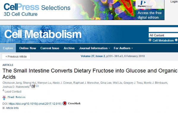 Cell Metab：吃太多糖后，消化系统中发生了什么？