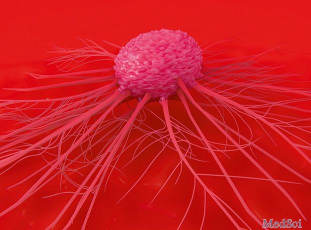 科学家们发现了阻止乳腺癌扩散的方法