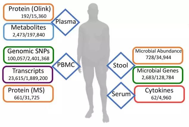 Cell Syst：胖五斤而伤全身！多组学揭秘少量增重竟会激活心脏病相关分子通路