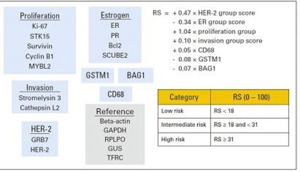JCO：乳腺癌21基因复发风险评分的<font color="red">种族</font><font color="red">差异</font>分析