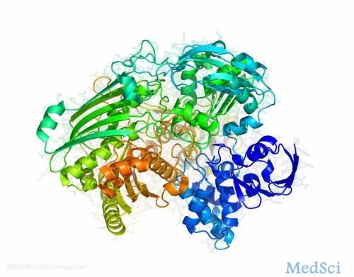JCEM：硬化蛋白与INSL3的负相关