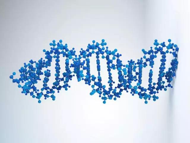 Science:<font color="red">张</font><font color="red">锋</font>开发出基因试纸，可用于检测肿瘤 DNA