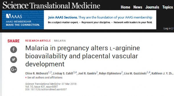 Sci Transl Med：<font color="red">精氨酸</font>补剂可能减弱妊娠期疟疾对胎儿的影响