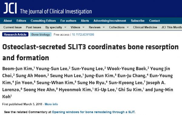 J Clin Invest：科学家发现一种破骨因子或可用于治疗骨流失