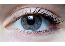 Ophthal Plast Reconstr Surg：眼前肌收缩和视觉剥夺对眼睑本体感觉的作用