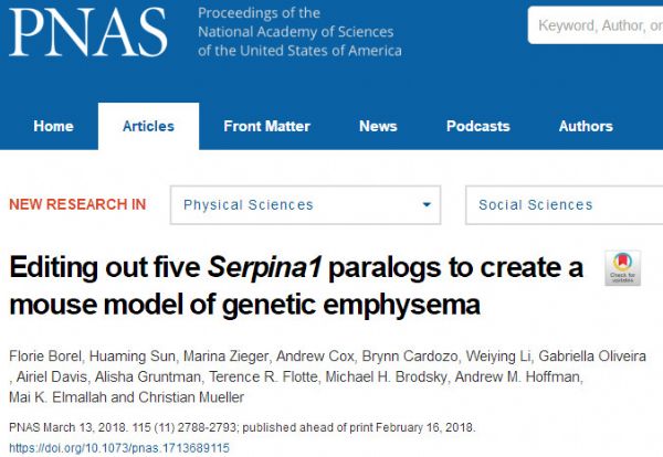 PNAS：CRISPR技术帮助创建<font color="red">慢性</font>阻塞性<font color="red">肺病</font>的小鼠模型