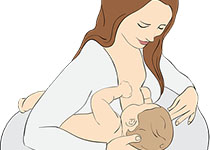 胎儿期接触塑化剂可能影响男性生育能力，影响或超过一代