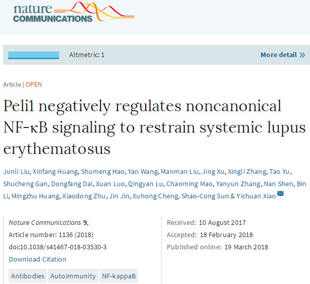 Nat Commun：E3泛素连接酶Peli1在系统性红斑狼疮中的功能与作用机制
