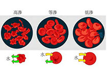 Blood：44802个单个造血干/祖细胞的<font color="red">转录</font><font color="red">图谱</font>揭示了8种血系细胞的分化过程
