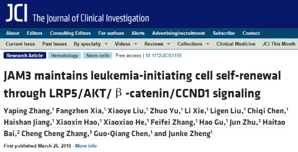J Clin Invest：发现清除白血病干细胞的潜在新靶点