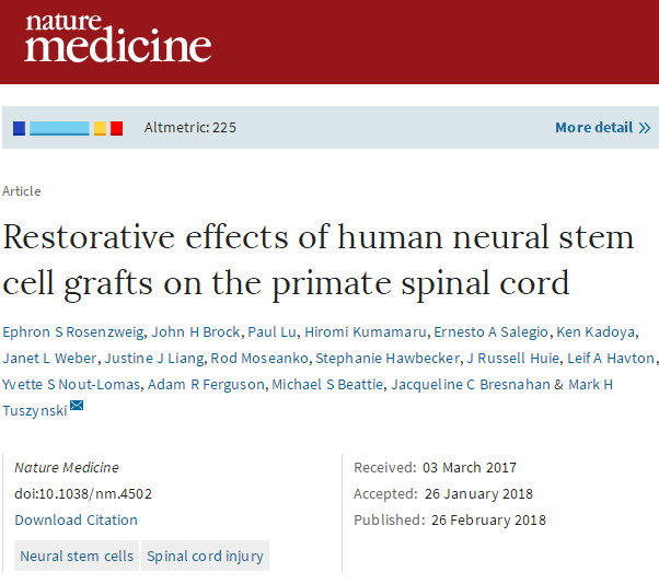 Nat Med：首次证实人神经干细胞移植可改善脊髓损伤猴子的<font color="red">抓</font><font color="red">力</font>