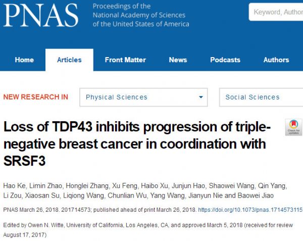 PNAS：TDP43可以作为三阴性乳腺癌治疗的潜在靶标