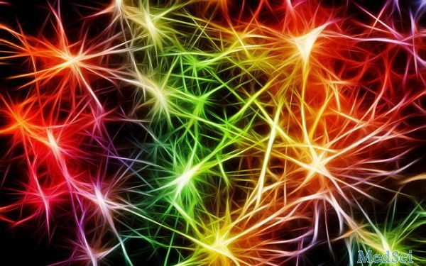 中科院神经所获突破性研究成果 揭示精细视觉编码新机制