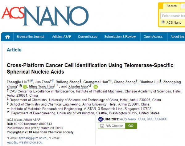 ACS Nano：肿瘤细胞检测及<font color="red">精准</font>手术导航造影剂方面取得突破