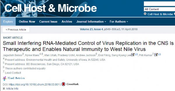 Cell Host Microbe：新<font color="red">RNA</font>疗法通过鼻腔给药，有望治疗<font color="red">病毒感染</font>