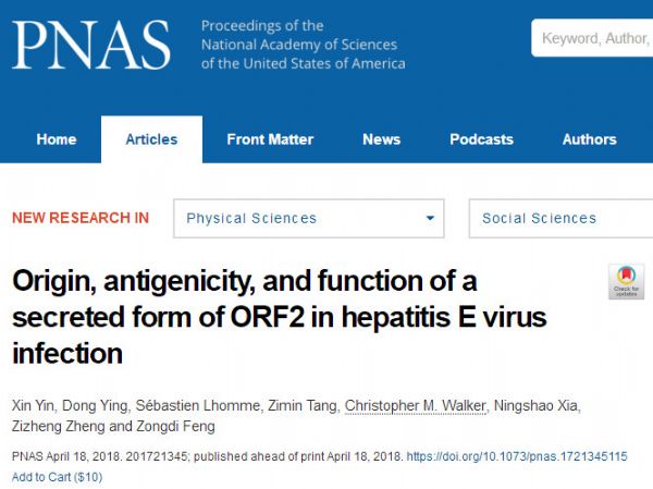 PNAS：ORF2在<font color="red">戊</font><font color="red">型</font><font color="red">肝炎</font><font color="red">病毒</font>中的重要作用