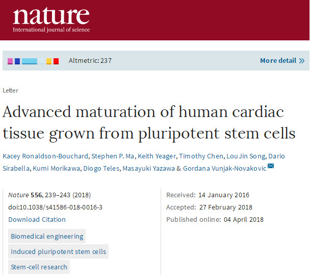 Nature：利用患者特异性的干细胞培育出类似于<font color="red">成年</font>人的心肌组织