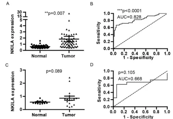 Transl Cancer Res：LncRNA NKILA在肺腺癌组织中高<font color="red">表达</font>，并提示不良预后，可能为肺腺癌的诊疗提供新靶点！