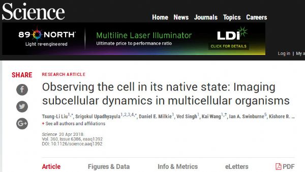 Science：新型成像<font color="red">技术</font>揭秘癌细胞如何迁移！