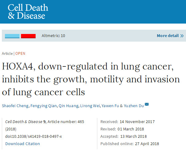 Cell Death Dis：HOXA<font color="red">4</font>可能作为肺癌抑癌<font color="red">基因</font>