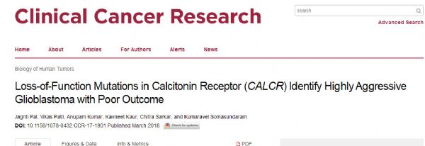 Clin Cancer Res：又一款神药么？这个骨科药物居然能抑制脑胶质瘤