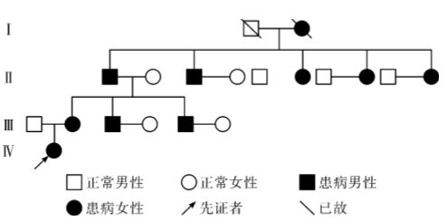 母女同患Hori氏<font color="red">痣</font>2 例及家系調(diào)查