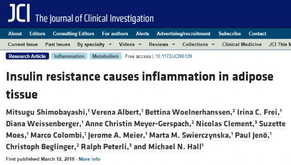 J Clin Invest：新研究揭示胰岛素抵抗与脂肪组织炎症的因果关系