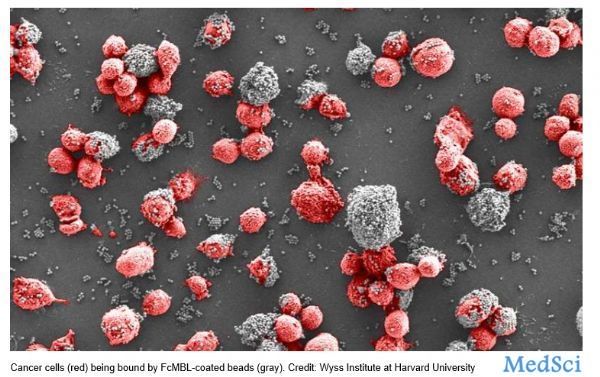 双载药磷酸<font color="red">钙</font>纳米载体可同时实现抗菌抗炎及成骨性能