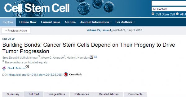 Cell Stem Cell：肿瘤干细胞如何驱动肿瘤发展？最新《Cell》子刊给你揭示其中的奥秘