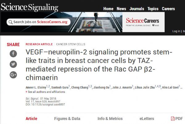 Sci Signal：突破常识！VEGF不仅促进肿瘤血管生长，对乳腺癌细胞本身也有促进作用