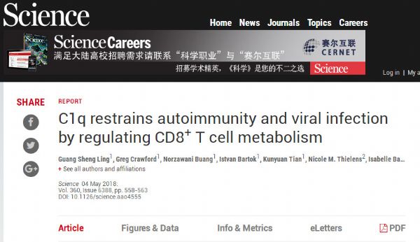 Science：细胞毒性T细胞竟让自身免疫<font color="red">疾病</font>更加<font color="red">严重</font>！