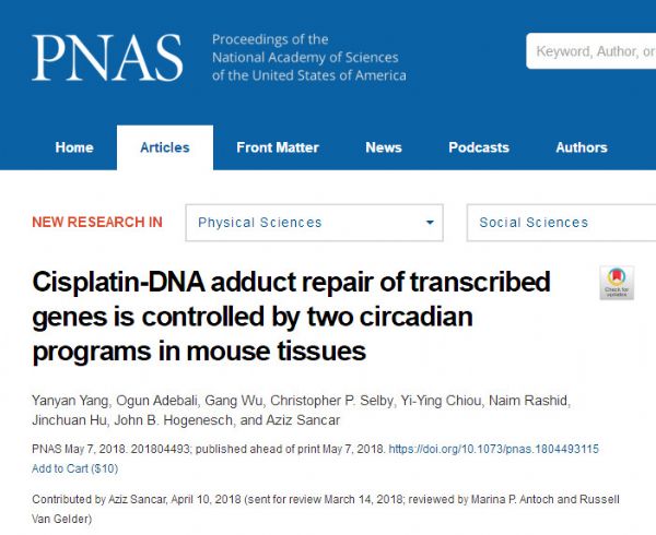 PNAS：生物钟竟影响基因修复！或可用于提高肿瘤化疗疗效，降低副作用