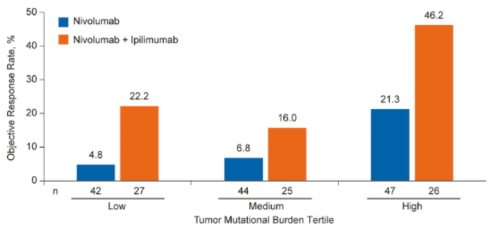 Cancer Cell：TMB标志物显神威！可增加小细胞肺癌I-O治疗有效性