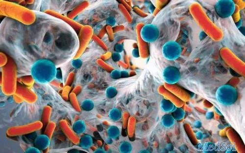 Front Microbiol：研究发现PutA在铜绿假单胞菌感染肺炎中发挥重要的作用