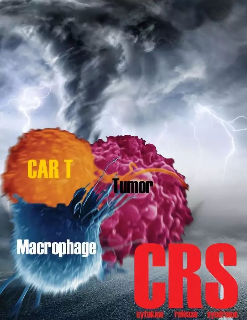 Nat Med：同日两篇研究发现CAR-T毒性控制新理论，抑制IL-1可降低巨噬细胞产生CRS的风险