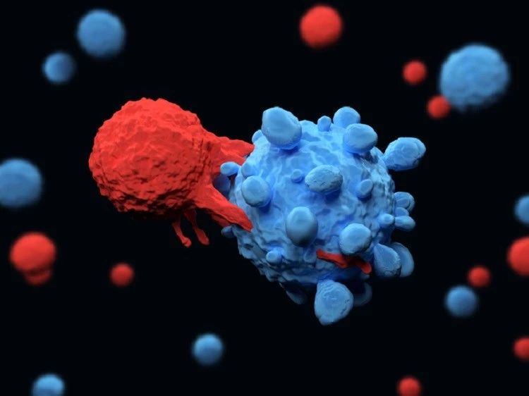 ASCO 2018：T细胞恶性肿瘤，奈拉滨出手相救