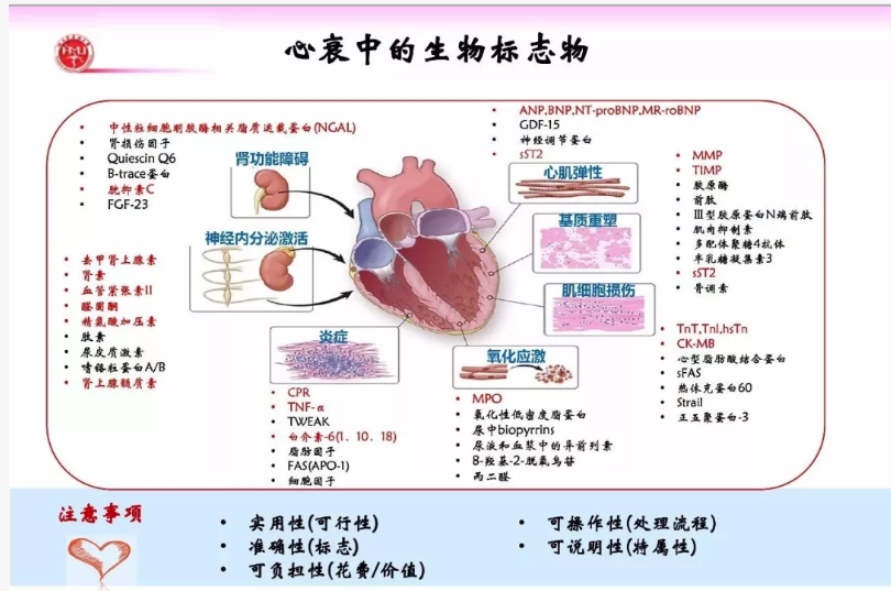 OCC2018丨李为民教授：心力衰竭生物标志物的最新进展