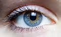 Exp Eye Res：全球首例！3D打印人类眼角膜问世