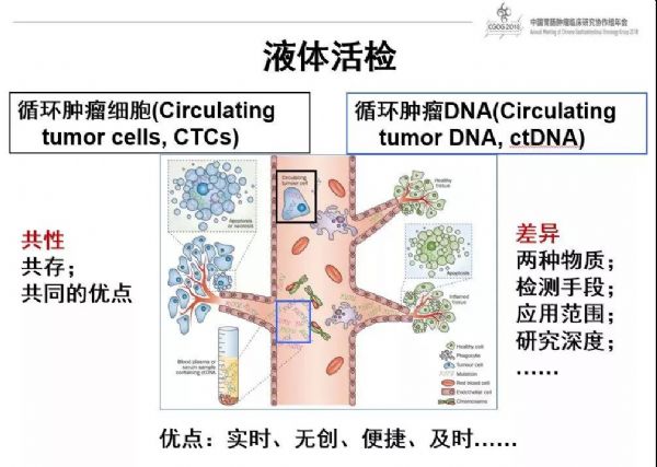 高静教授：CTC与<font color="red">ctDNA</font>在<font color="red">肿瘤</font>中研究现状与思考