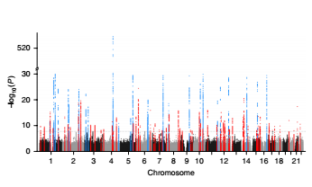 Nat Genet：50万数据绘制史上最全房颤基因谱！