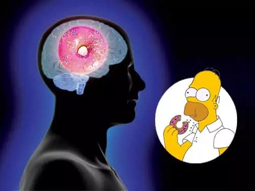 Cell Metab：薯条披萨巧克力，会让大脑“上瘾”！科学家首次证实，一看到高碳水+高脂肪食物，大脑就失守了