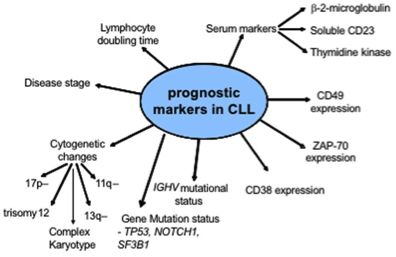 Blood：CLL患者异基因造血干细胞移植：如何进行？何时进行？